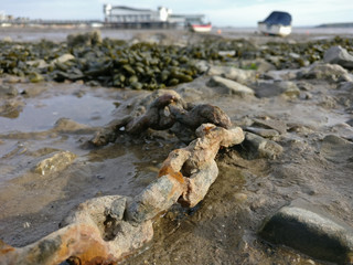 Cadena oxidada en la playa de Weston-super-Mare