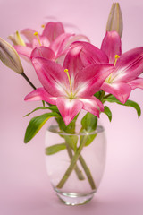 Pink lily flowers in a glass jar