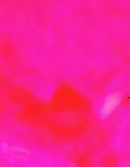 Chaotic lines on soft background in cartoon style. Abstract art in very bright juicy colors. Surreal painting texture. Psychedelic modern art. Warm saturated backdrop. Funny style crazy artwork.