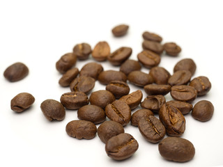 Coffee beans on white background.