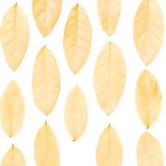Autumn composition made of yellow leaves on white background. Flat lay, top view. Close up view