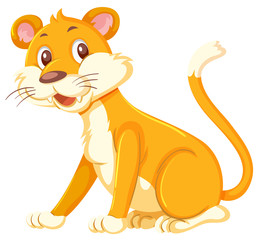 A female lion on white background