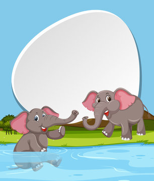 Elephant and blank banner