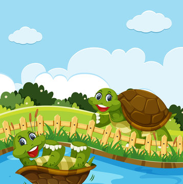 Turtle in the nature