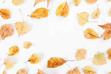 Naklejka premium Autumn frame made of yellow fall leaves on white background. Flat lay, top view
