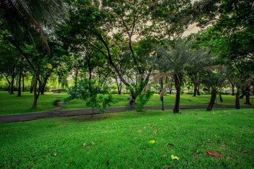 Background, green park, exercise path, bike lane, area for people to relax or meet.