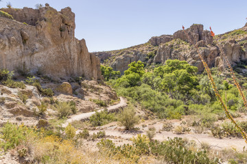 Fototapeta na wymiar Hiking trail in the Arizona desert
