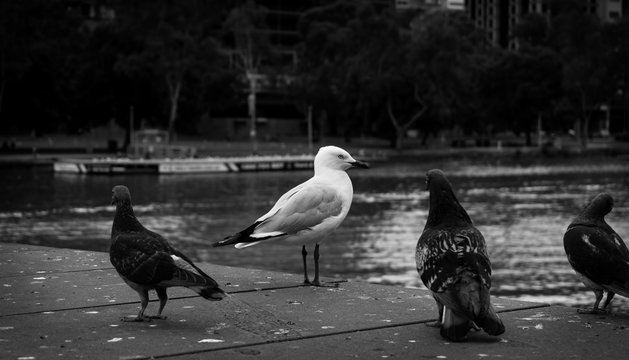 Stand alone