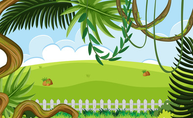 Obraz premium outdoor nature landscape scene