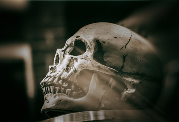 Skull on a table