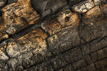 burnt wood texture