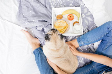 Young woman with her dog in a bed. Breakfast in bed