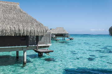 Over water bungalow in Moorea, French Polynesia