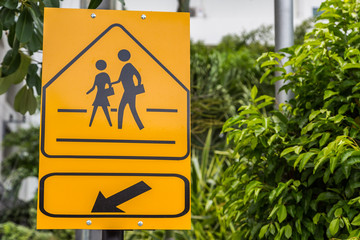 Traffic sign School warning sign here with green leaf