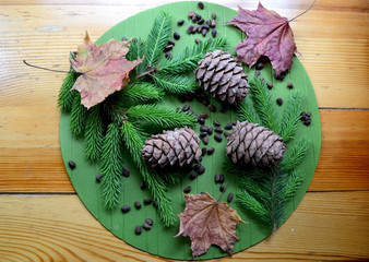 Cedar cones, nuts, autumn leaves and pine branches on a green background