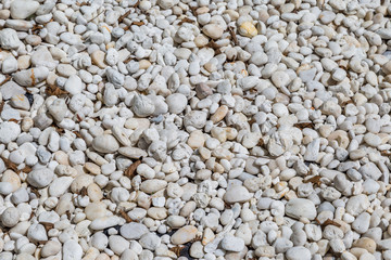 natural polished white river rock pebbles