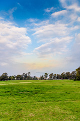 Fototapeta na wymiar Green lawn and blue sky against city background.