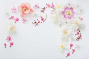 spring flowers on white background