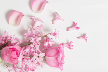 pink flowers on white background