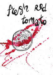 Fresh red tomato calligraphy illustration autumn summer