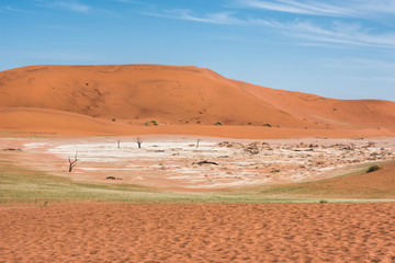 Red sand dunes in Namibia