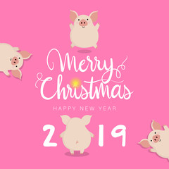 Merry Christmas greeting card with cute piggy. 2019 year of the pig. Calligraphy hand written vector.
