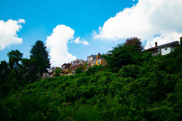 Fototapeta na wymiar Houses on Overgrown Hill