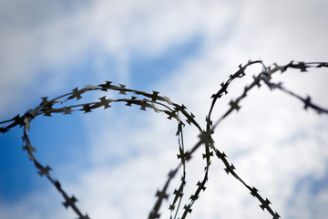 Barbed wire on fence against blue sky. Wired fence with rolled barbed wires. Concept of freedom, silent and lonelyness.