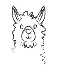 llama animal exotic icon vector illustration design
