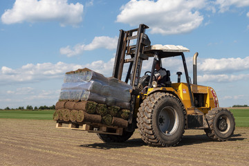 Wheel loader machine transportation pallet with green grass lawn rolls cargo/ Loading of pallets with turf and delivery. Lawn in rolls