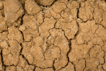 Cracked ground dry earth dry land texture background