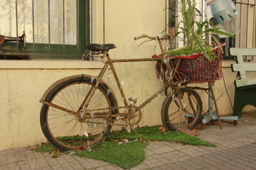 Fototapeta na wymiar Bike Natural