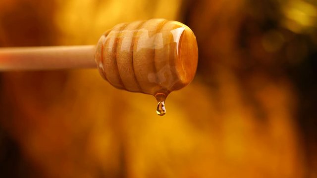 Footage organic honey dripping from wooden honey spoon background