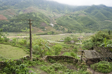 Sapa rice fields