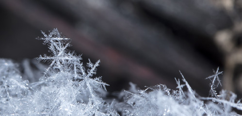 snowflake on snow, snow
