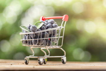 Fresh Organic Blueberries in mini Shopping Cart