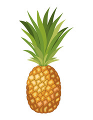 pineapple fresh fruit icon vector illustration design
