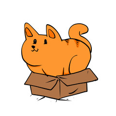 Orange cat in box