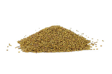 Pile of alfalfa seeds