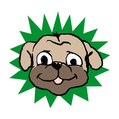 Pug face . pug head