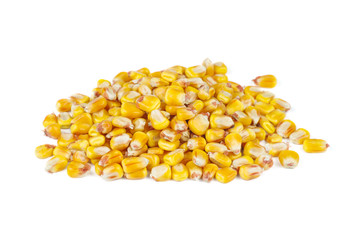 Pile of dried corn seeds isolated on white background