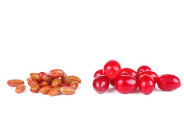 Cornels and pits isolated on a white background