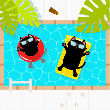 Swimming pool. Black cat floating on yellow pool float water mattress and red circle. Top air view. Sunglasses. Lifebuoy. Palm tree leaf. Hello Summer. Cute cartoon character. Flat design.
