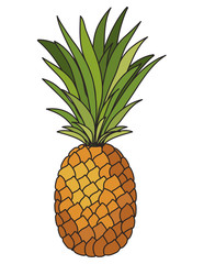 pineapple fresh fruit icon vector illustration design