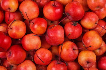 Crab apples
