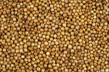 Coriander seeds