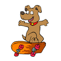 Skater dog . happy dog