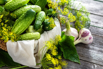 Fresh cucumber for pickled or marinated cucumbers on wooden background. Fresh organic vegetables...