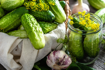 Preparation pickling cucumber. Fresh herbs, dill, garlic and cucumbers in jar. Preserves for winter.