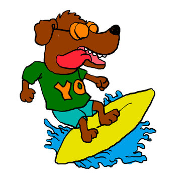 Surfing dog , funny dog . crazy dog